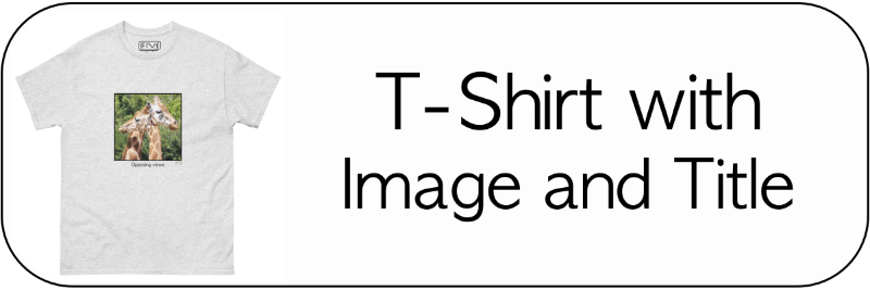 T-Shirts with image and title